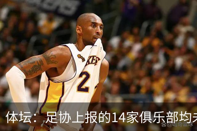 体坛：足协上报的14家俱乐部均未获亚冠许可证